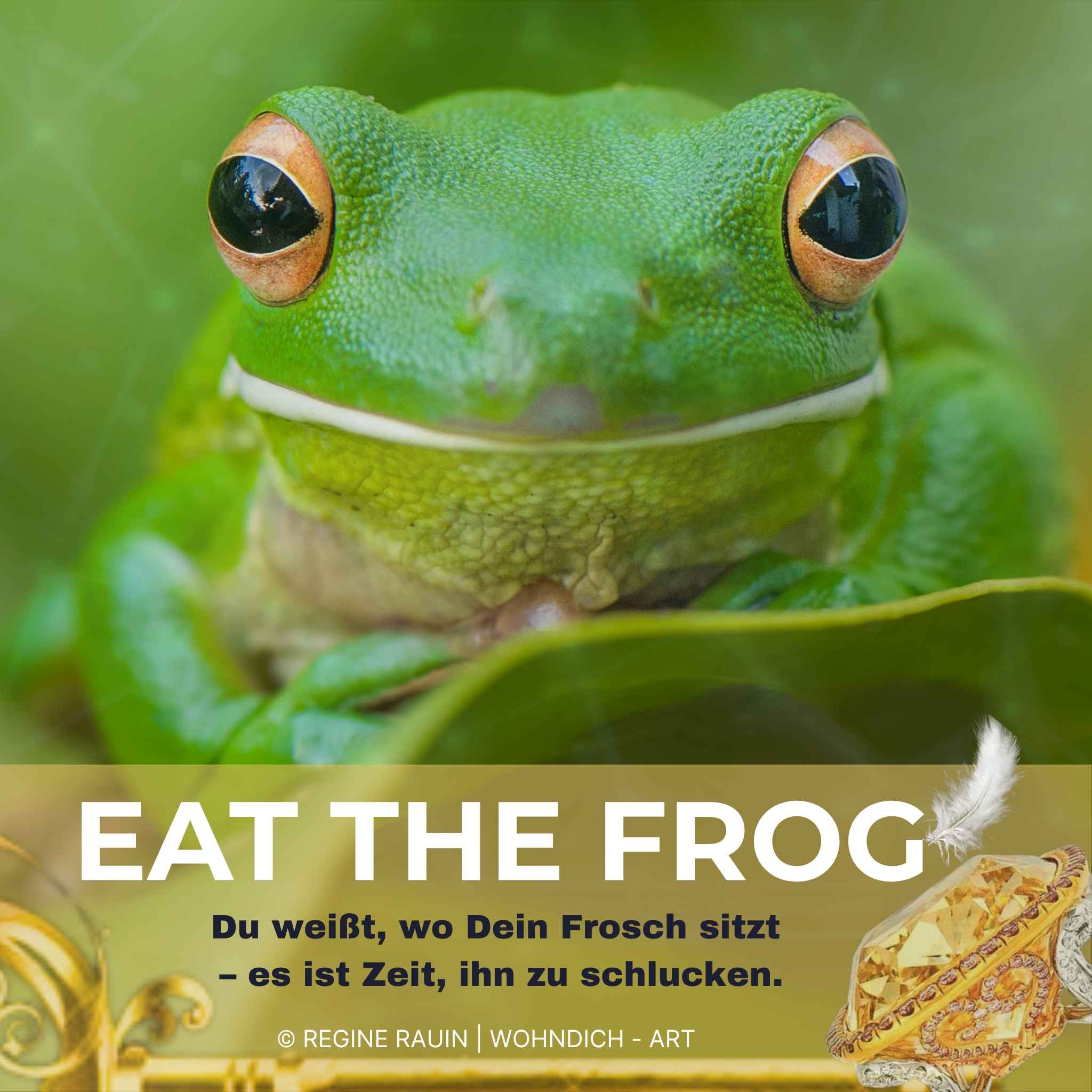 grüner Frosch guckt mit großen Augen in die Kamera, Textzeile EAT THE FROG - Du weißt, wo Dein Frosch sitzt. Es ist Zeit, ihn zu schlucken. Rechts Diamantring, unten angeschnittener goldener Schlüssel