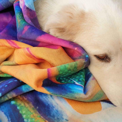 „Weißer Hund liegt eingekuschelt in farbenfrohe Kuscheldecke mit Dschungel-Motiv.“